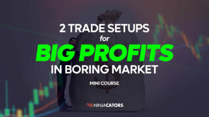 2-Trade-Setups-For-Big-Profit-Course---Website---1st-Slide
