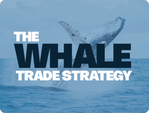 Whale Trade Strategy